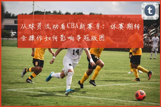 从球员流动看CBA新赛季:休赛期转会操作如何影响争冠版图